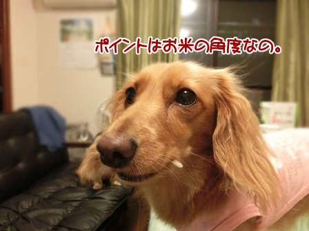 018_20140824230311d09.jpg
