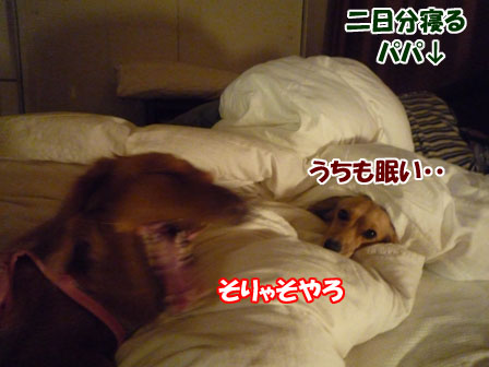 002_20101201220408.jpg