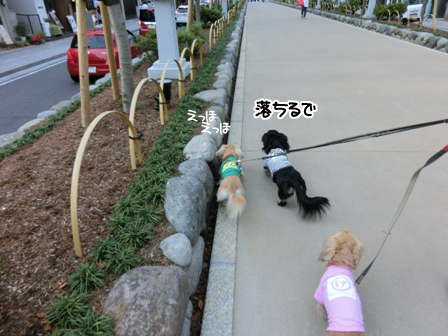 201605217.jpg