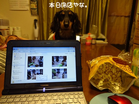 012_2015032323252039e.jpg