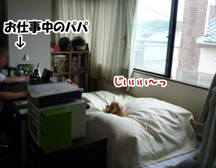 001_20110528004147.jpg