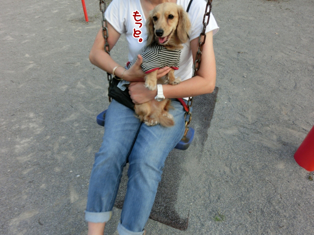 初めてのブランコで大騒ぎ メルロコ一家の横須賀ストーリー Powered By ライブドアブログ