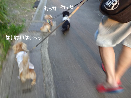 002_201505262251124db.jpg
