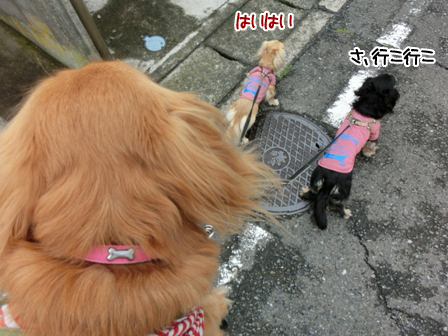201606072.jpg