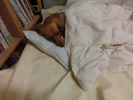 004_20141214235852ca4.jpg