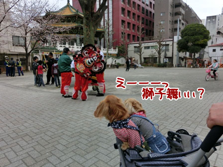 028_20130320230005.jpg