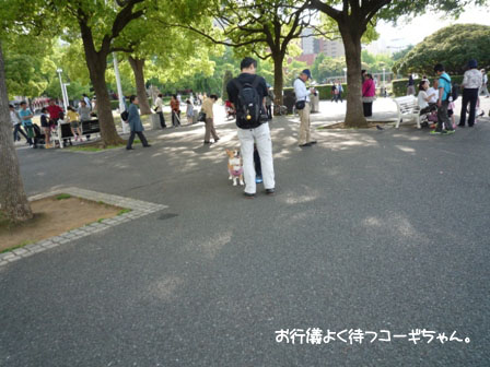 023_20120514000006.jpg