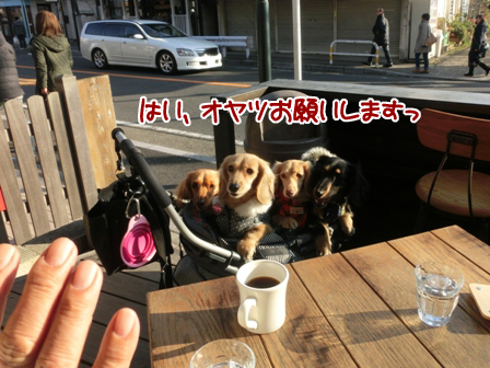 007_20150104220451c54.jpg