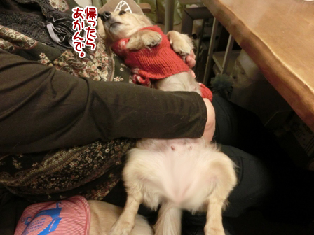 201601166.jpg