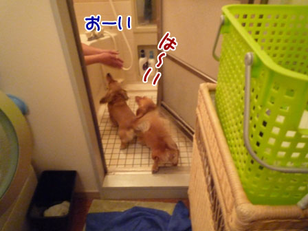 006_20120517233239.jpg