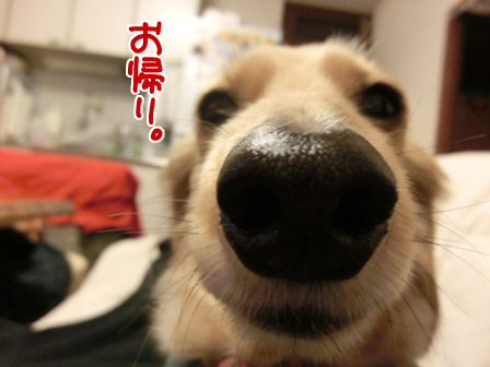 201601255.jpg