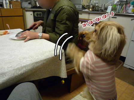 010_20120122003039.jpg