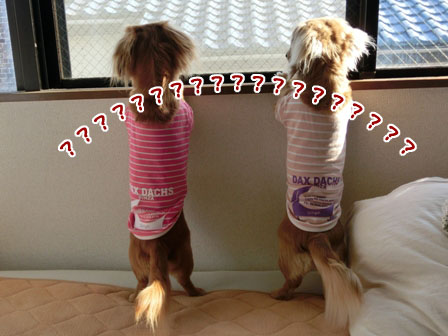 002_20130312231221.jpg