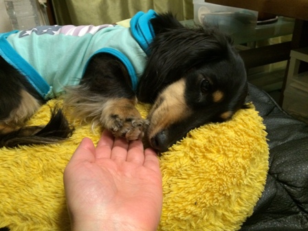 201602251.jpg