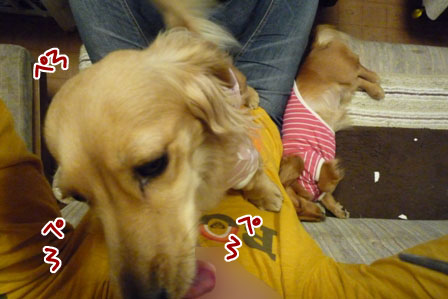 005_20120419215946.jpg