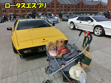 028_20130318002217.jpg