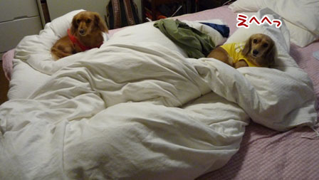 004_20111206221306.jpg