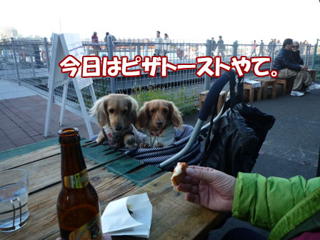 036_20101223223545.jpg