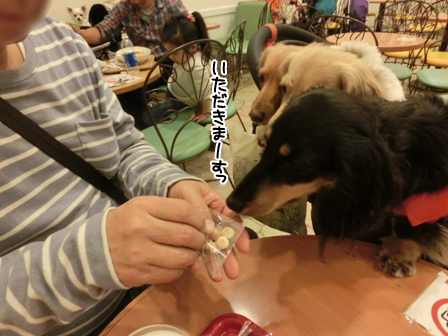 2016020103.jpg