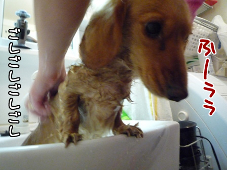 039_20110226223308.jpg