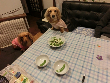 020_20130314234329.jpg