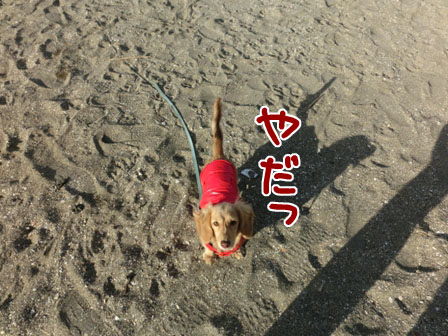 017_20131231010221cbc.jpg