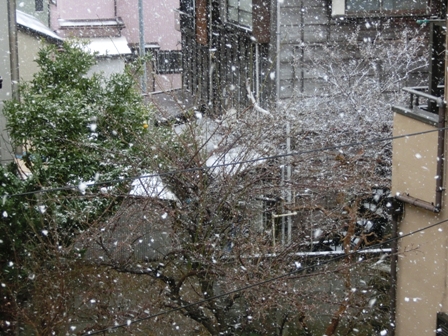 021_20150102002059ba5.jpg
