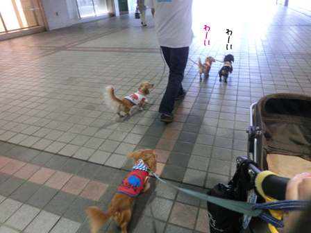 009_20140927214330d7f.jpg