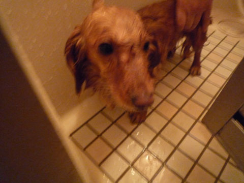 016_20120331232544.jpg