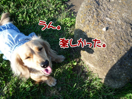 010_20120629222536.jpg