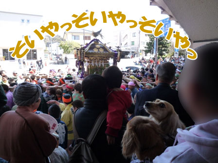 005_20120408222657.jpg