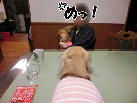 006_20121124000157.jpg
