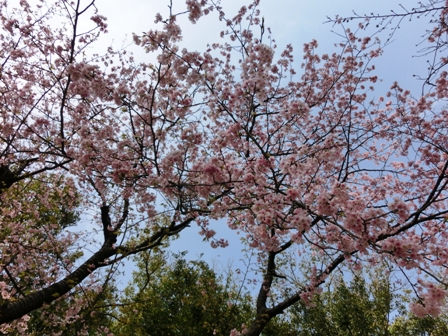 009_20130318230448.jpg