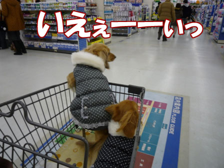 005_20120105225147.jpg