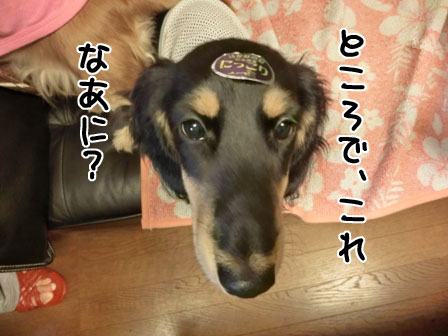 003_2013103100322231b.jpg