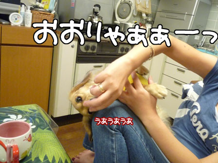 006_20111005231946.jpg