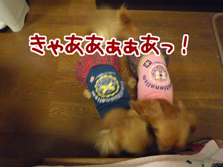 001_20110730232842.jpg
