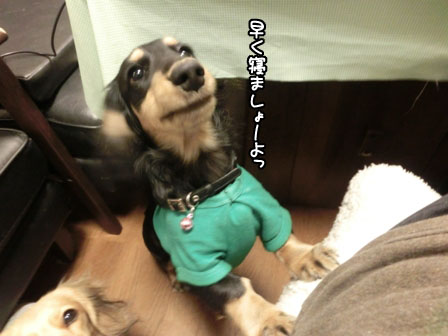007_2013121123453749e.jpg