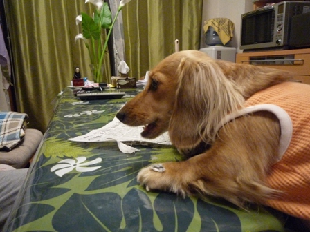 020_20101228233011.jpg