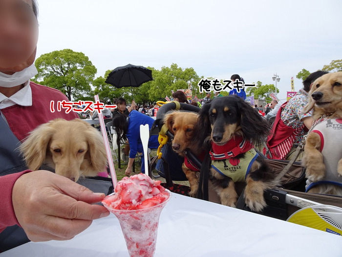 20170503-8