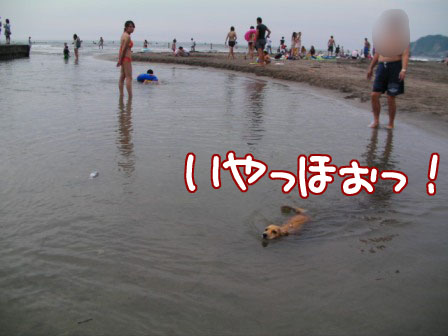 020_20110807234034.jpg