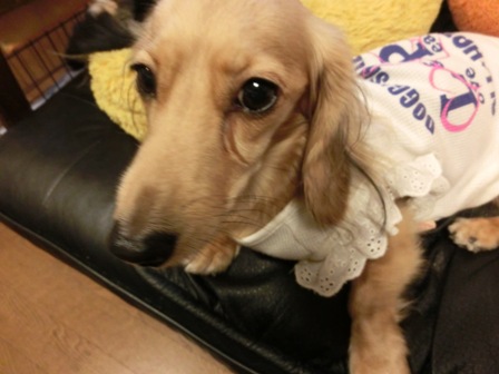 20151024008.jpg