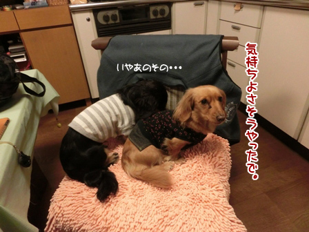 016_201403242350306ff.jpg