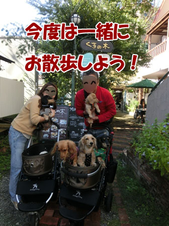 023_201310272206547ad.jpg