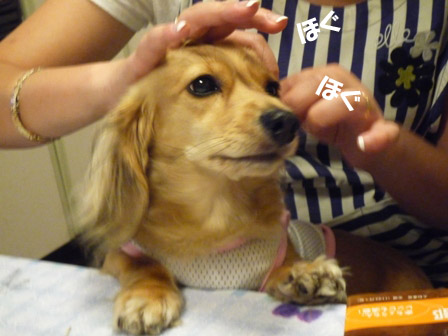 004_20120719000912.jpg
