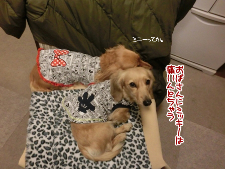 2016020109.jpg