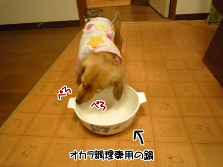004_20120106231043.jpg
