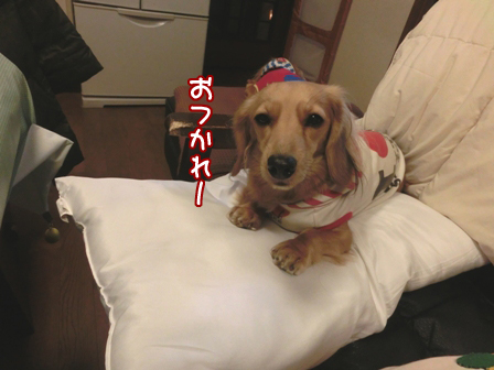 017_20141115002554b2e.jpg