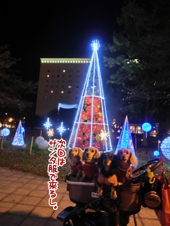201511297.jpg