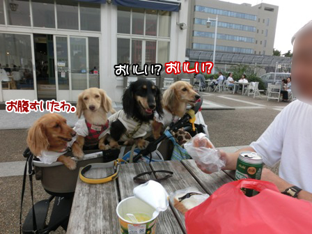 201509260216.jpg